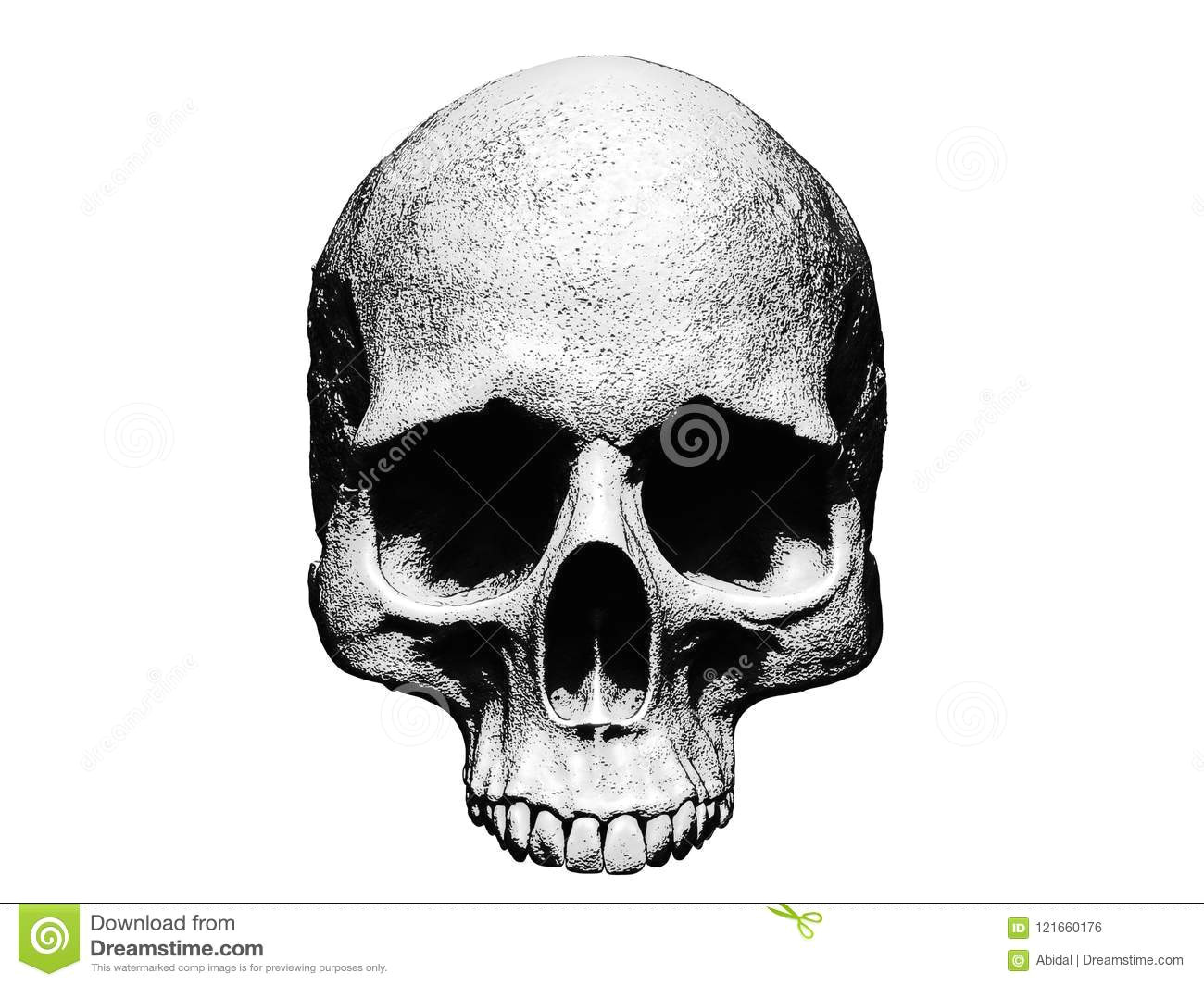 skull illustration isolated in white background drawing wallpaper