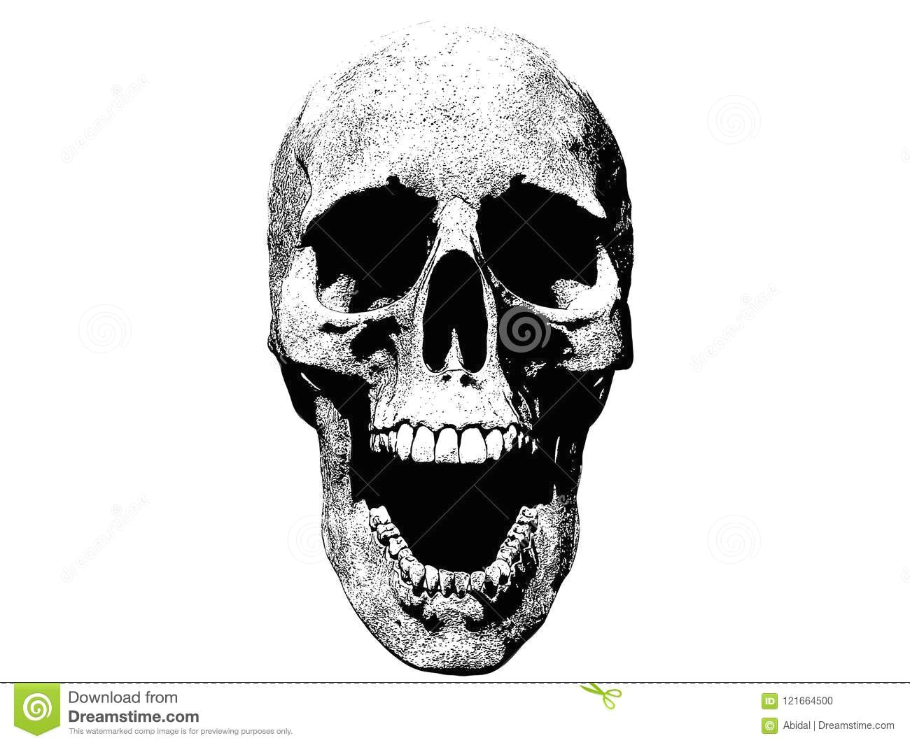 skull screaming isolated in white background