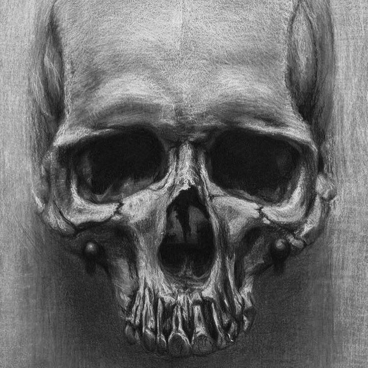 skulls skull art skullart horror halloween goth skeleton