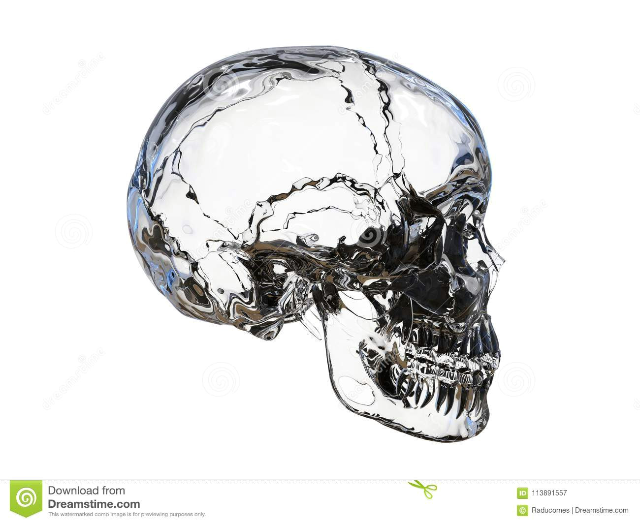 3d render illustration of the side view of a glass human skull the composition is isolated on a white background without shadows
