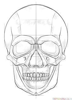 how to draw a human skull step by step drawing tutorials for kids and beginners