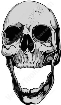 the human skull is a bony structure the head in the skeleton which supports