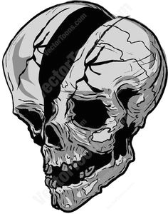 decaying cracked in half skull