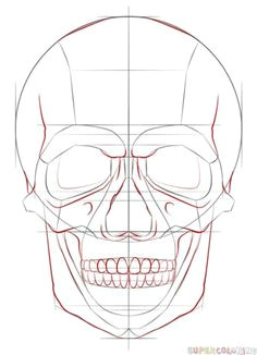 how to draw a human skull step by step drawing tutorials for kids and beginners