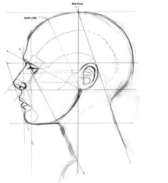 drawings side face drawing face proportions drawing face profile drawing facial proportions