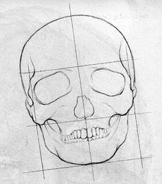 how to draw a skeleton step by step face drawing tips drawing skills drawing