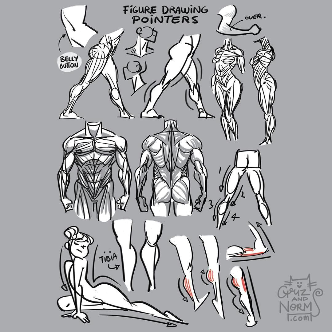 tuesday tips figure drawing pointers a few things i keep in mind while i m figure drawing from small details that suggest form and volume to larger