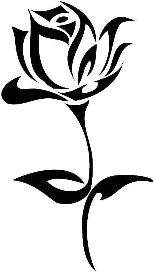 image 15 tattoo rose png image in rakesh kumar sharma s images album