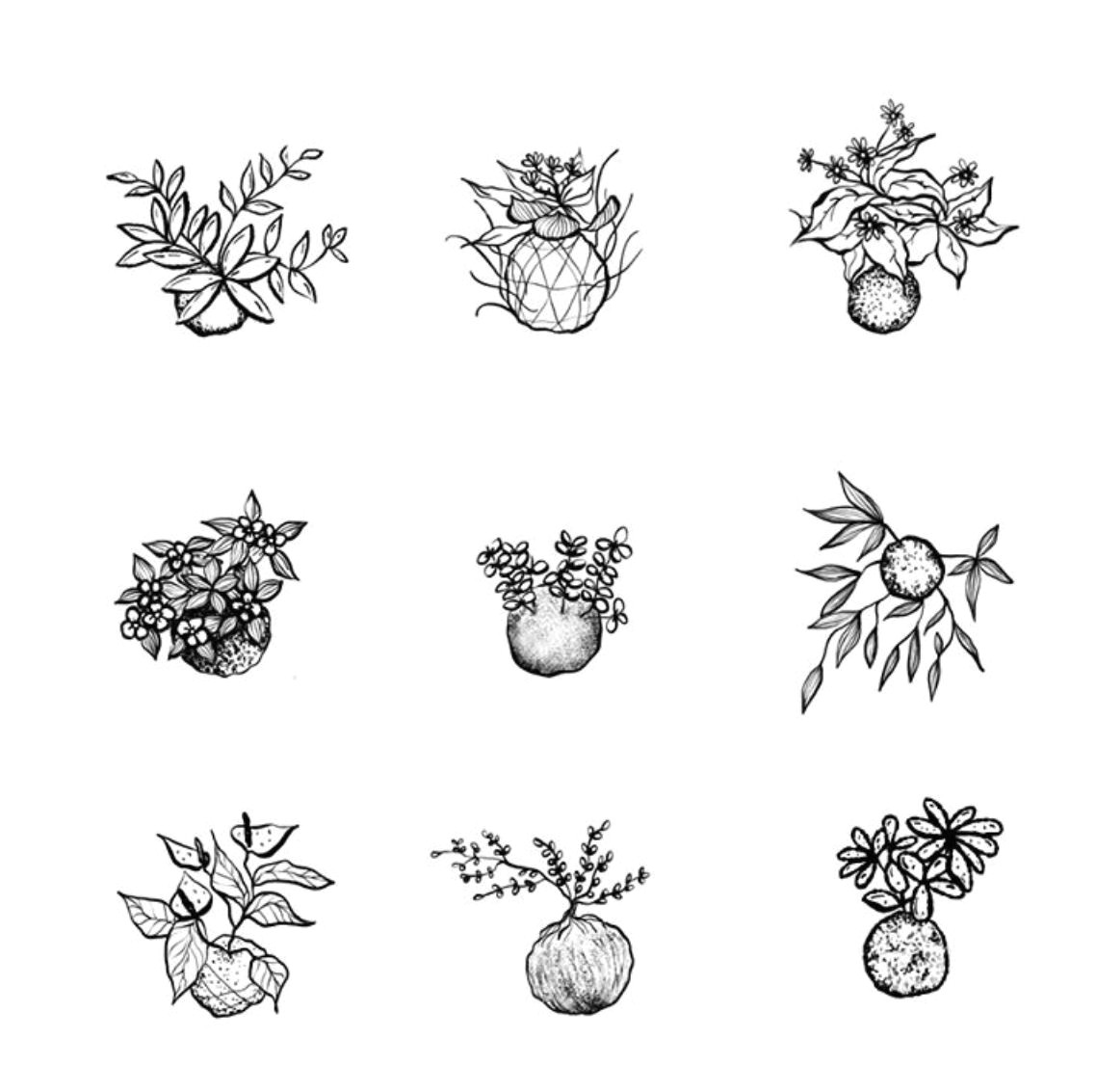 botanical line drawing drawings have you seen doodles art drawings drawing