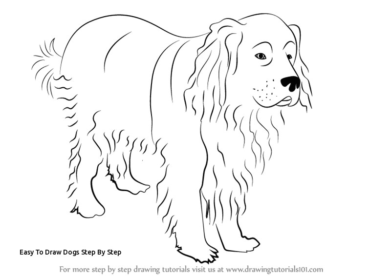 easy to draw dogs step by step learn how to draw a newfoundland dog dogs step