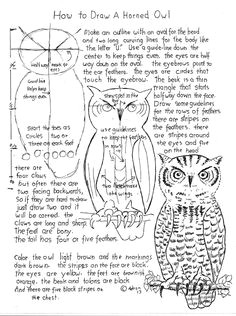 how to draw a horned owl worksheet and lesson how to draw worksheets for young artist