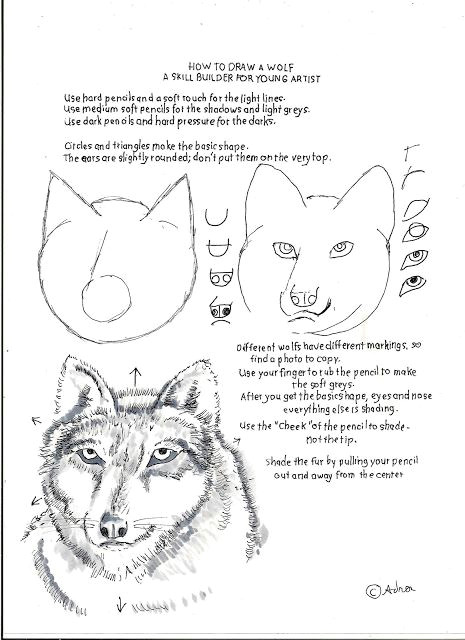 how to draw worksheets for the young artist how to draw a wolf a drawing skill builder for a young artist draw zoo animals s by s in 2018 pinterest