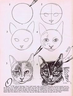 how to draw cats ps soooo cute