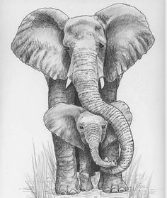 gallery for mom and baby elephant drawing