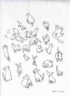 cat illustrations translate to tattoos