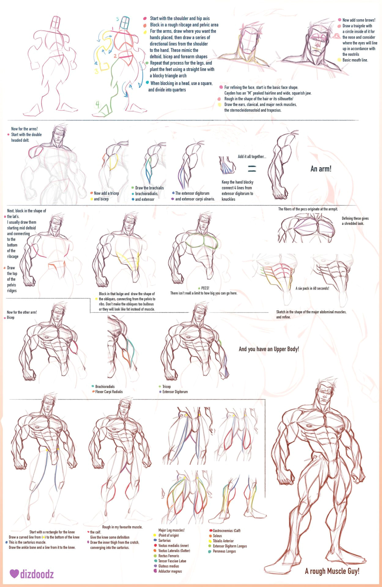 anatomy tutorial gesture drawing figure drawings anatomy reference drawing people art