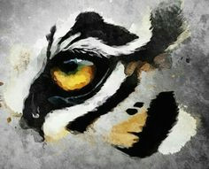 tiger eye tiger eyes tattoo tiger drawing tiger art watercolor tiger watercolor