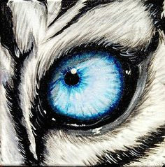 drawings of tigers eyes