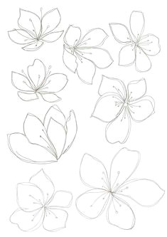bobbie print floral drawings flower drawing tutorials flower design drawing line drawing art
