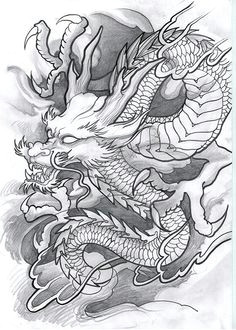 n d n n n n dod d dragon tattoo artist dragon tattoo sketch tattoo sketches tattoo drawings