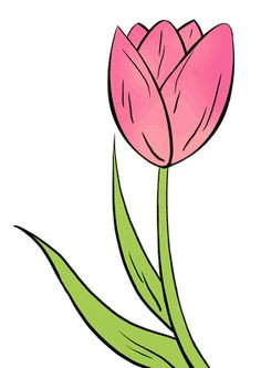 easy drawings how to draw a tulip really easy drawing tutorial