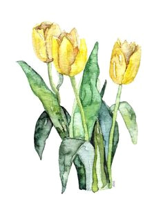 tulip painting print from original watercolor painting yellow tulips watercolor flowers yello