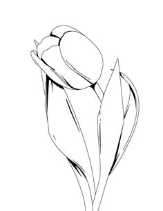 an artistic tulips drawing in ink pen coloring page