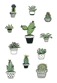 cute iphone wallpaper tumblr iphone wallpaper plants cute wallpapers cactus drawing plant