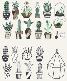 succulent drawings succulent tattoo cactus tattoo cactus drawing plant drawing drawings