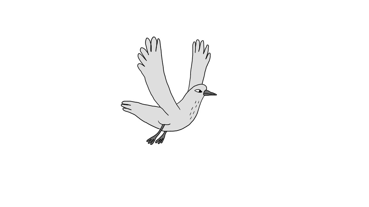 animated gif illustration bird free download art artists on tumblr drawing