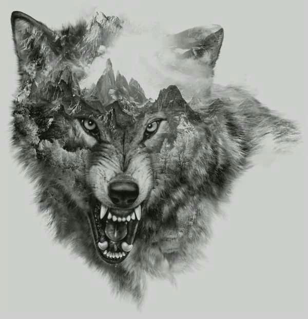 wolf collage