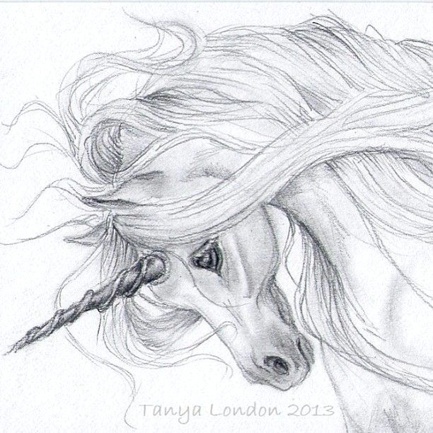 realistic unicorn drawings unicorn drawing in pencil gray unicorn whispwan graphite
