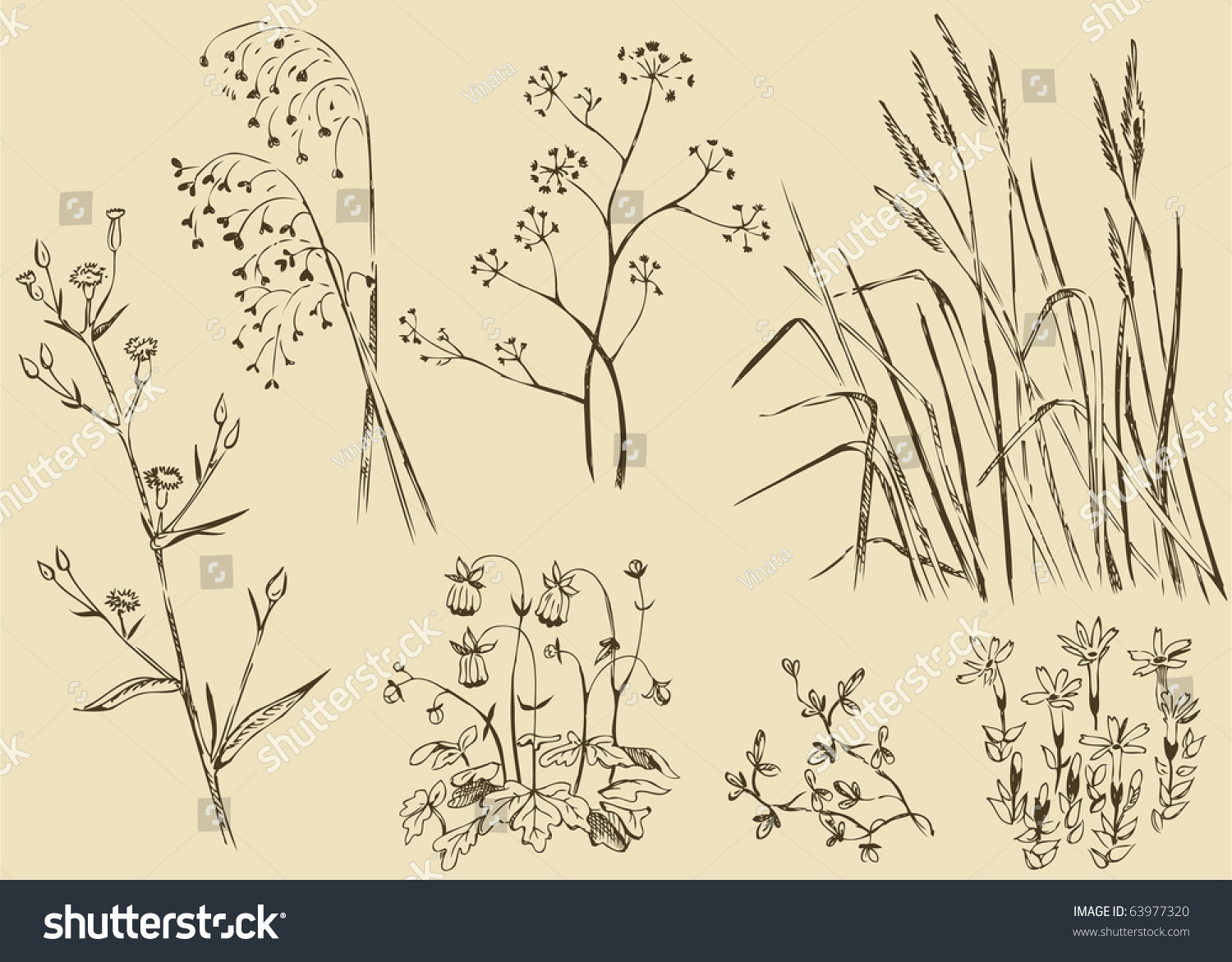 field flowers grass vector