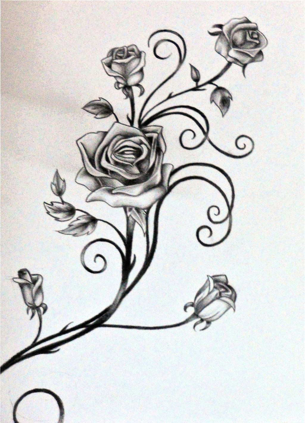 drawings of vines and leaves roses and the vine by rosilutfi