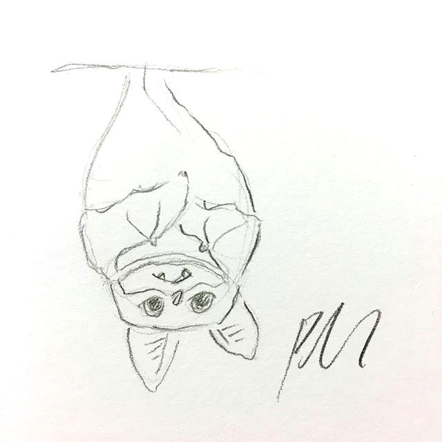 here is a little warm up sketch drawing sketch sketchbook warmupsketch hangingbat bat pencil doodle cute