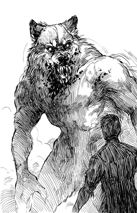 claire hummel shoomlah com illustrations werewolf art werewolf wolf