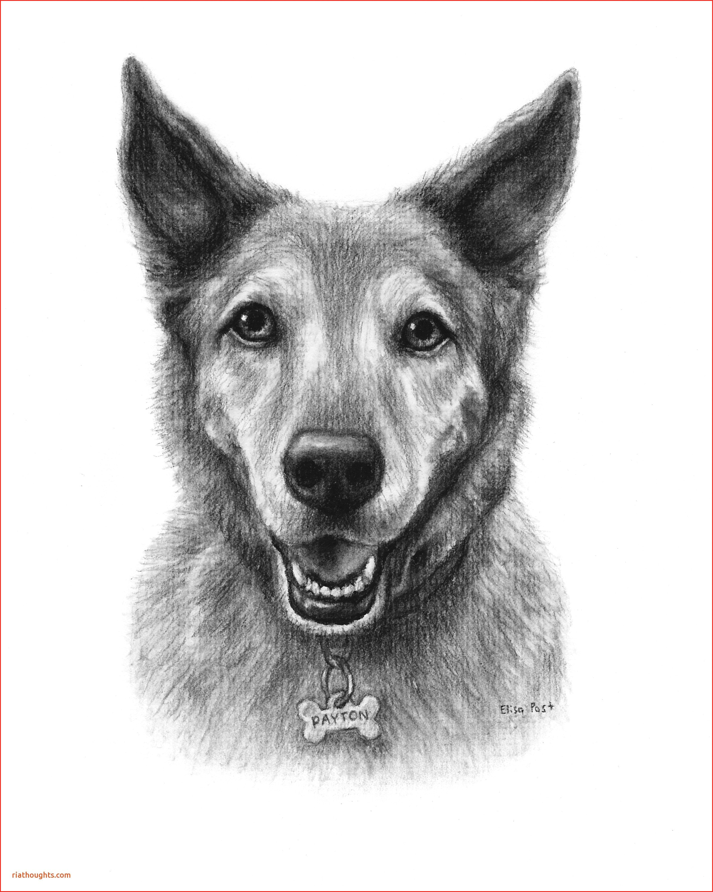 coloring pictures of animals best of drawing dog beautiful dog fantastic dog drawing 0d coloring pictures
