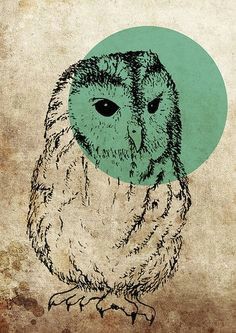 the quietest people have the loudest minds by dylan vogel owl art printmaking