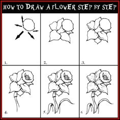 how to draw realistic flowers daryl hobson artwork how to draw a flower step