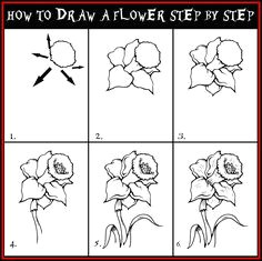 Drawing with Real Flowers 100 Best How to Draw Tutorials Flowers Images Drawing Techniques