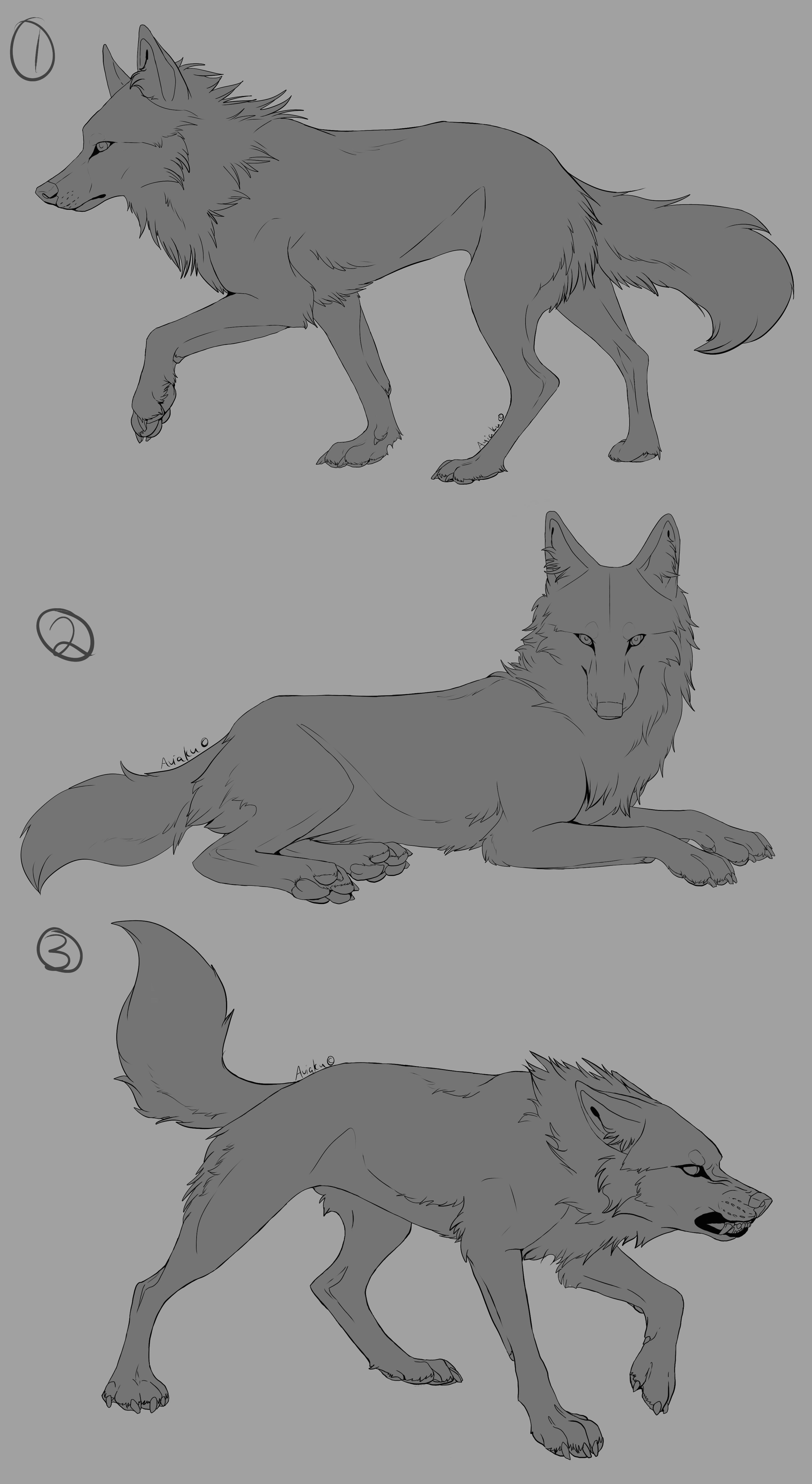 anime wolf drawing wolf drawings doodle drawing animal drawings art drawings