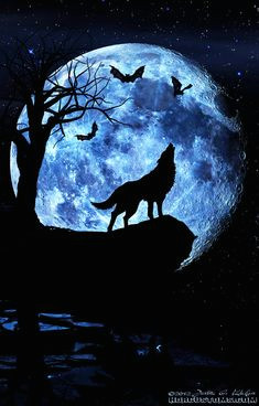 it s a wolf moon tomorrow night what rituals are my witchey friends doing