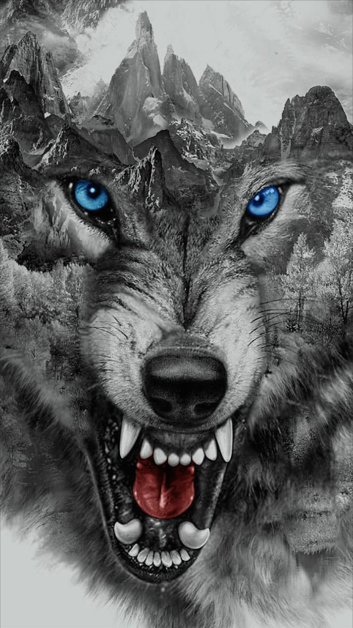 download angry wolf wallpaper by georgekev now browse millions of popular angry wallpapers and ringtones on zedge and personalize your phone to suit you