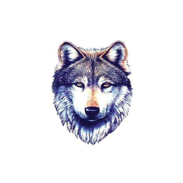 wolf tattoo a wolf tattoos tribal wolf tattoo a liked on polyvore featuring fillers animals drawings backgrounds art doodles quotes effects