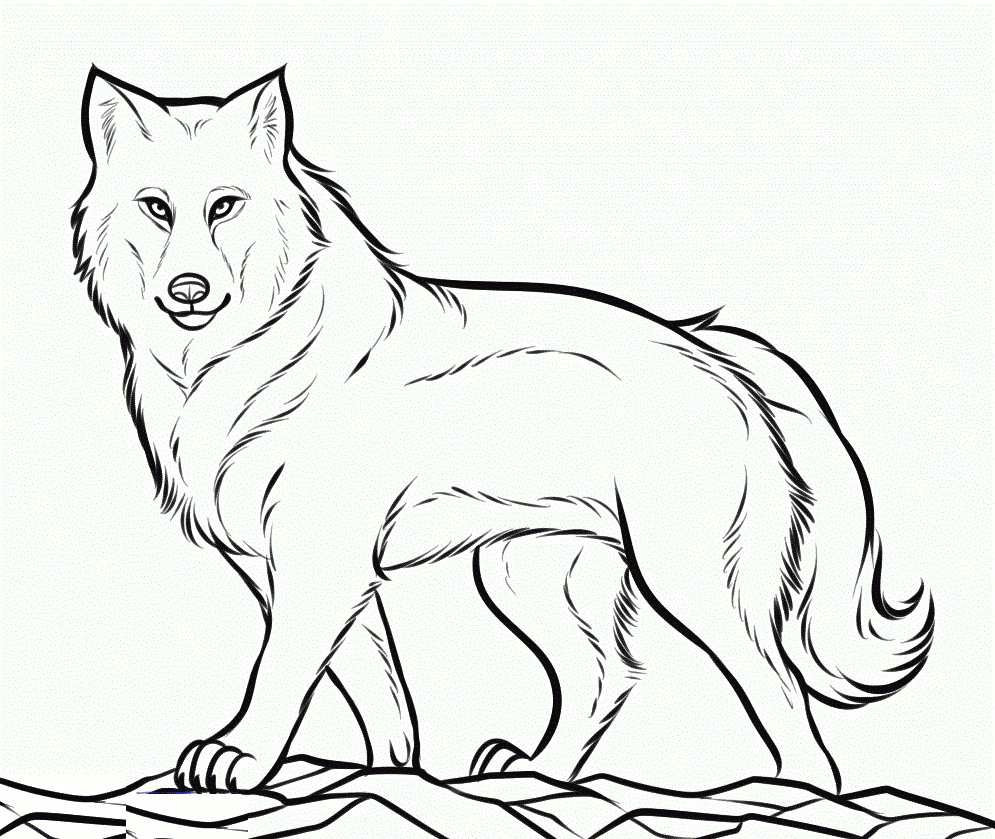 black and white wolf coloring pages awesome luxury wolf coloring pages davis lambdas