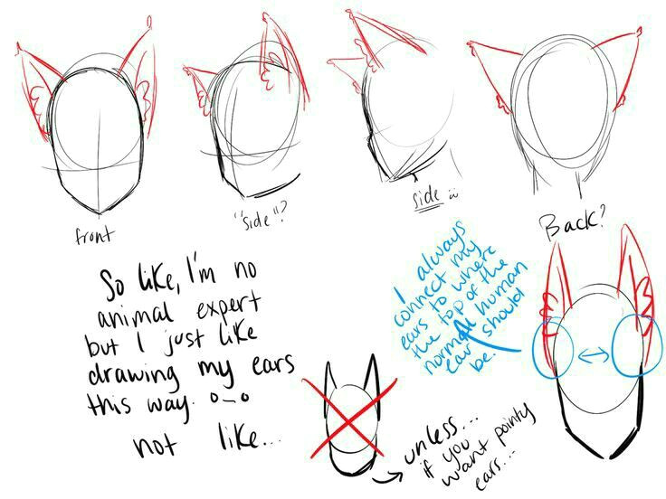 cat ears neko text how to draw manga anime how to draw manga anime drawings animal drawings art