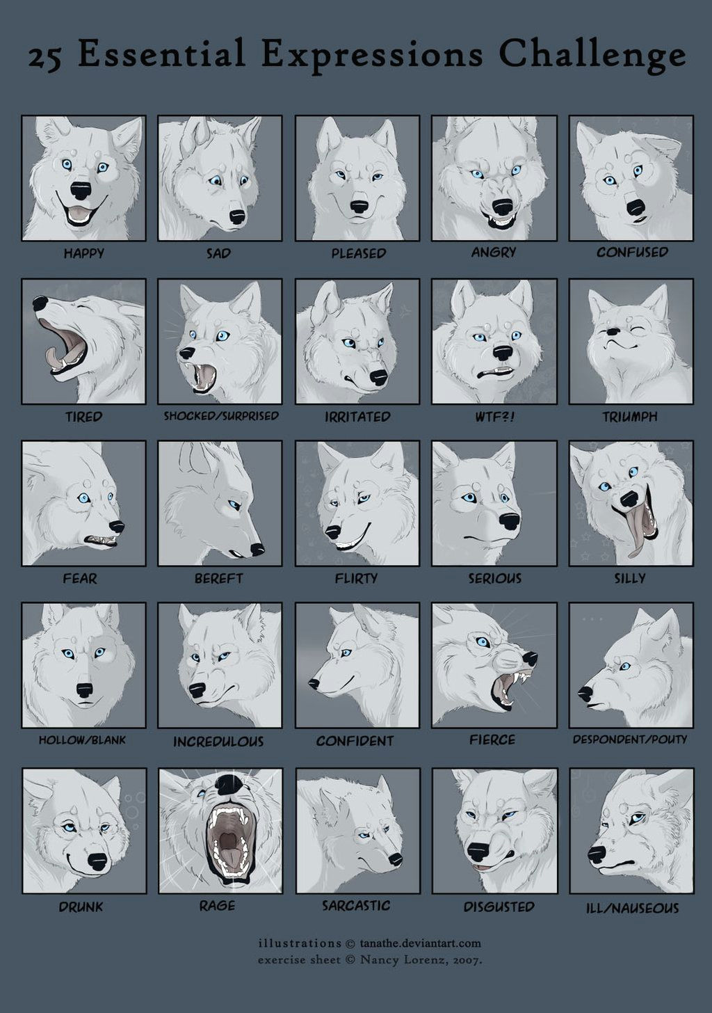 25expressions challenge wolf by tanathe deviantart com on deviantart