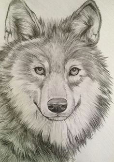 items similar to wolf art print limited edition a4 hand numbered and signed on etsy