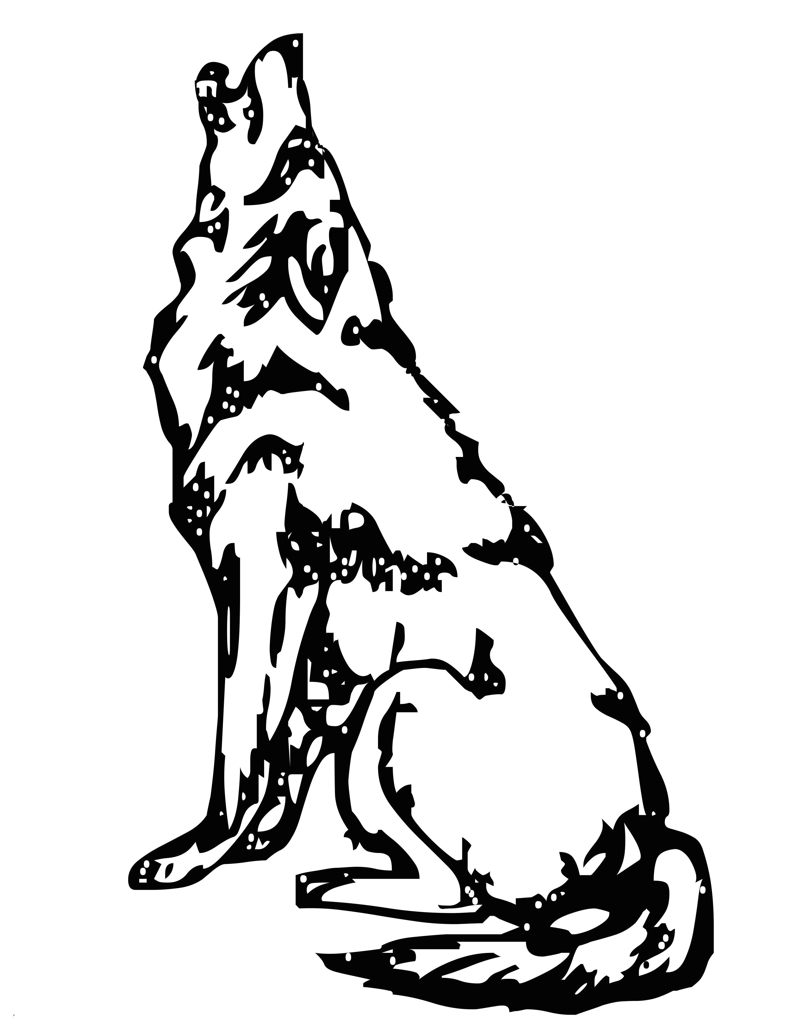 Drawing Wolf Fur Wolf Zeichnungen Zum Ausmalen Nouveau Galerie Malvorlage Hase Fur