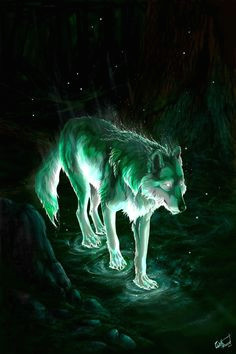 on the night of the starless sky the star wolf comes down and watches over